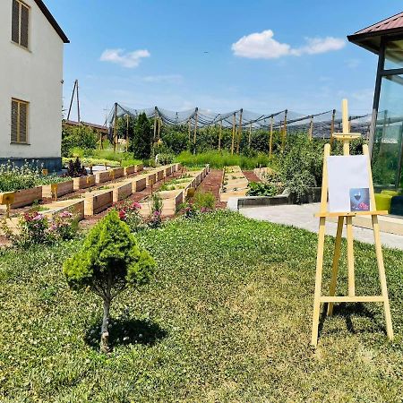 Green Training Center Dzoraghpʼyur エクステリア 写真